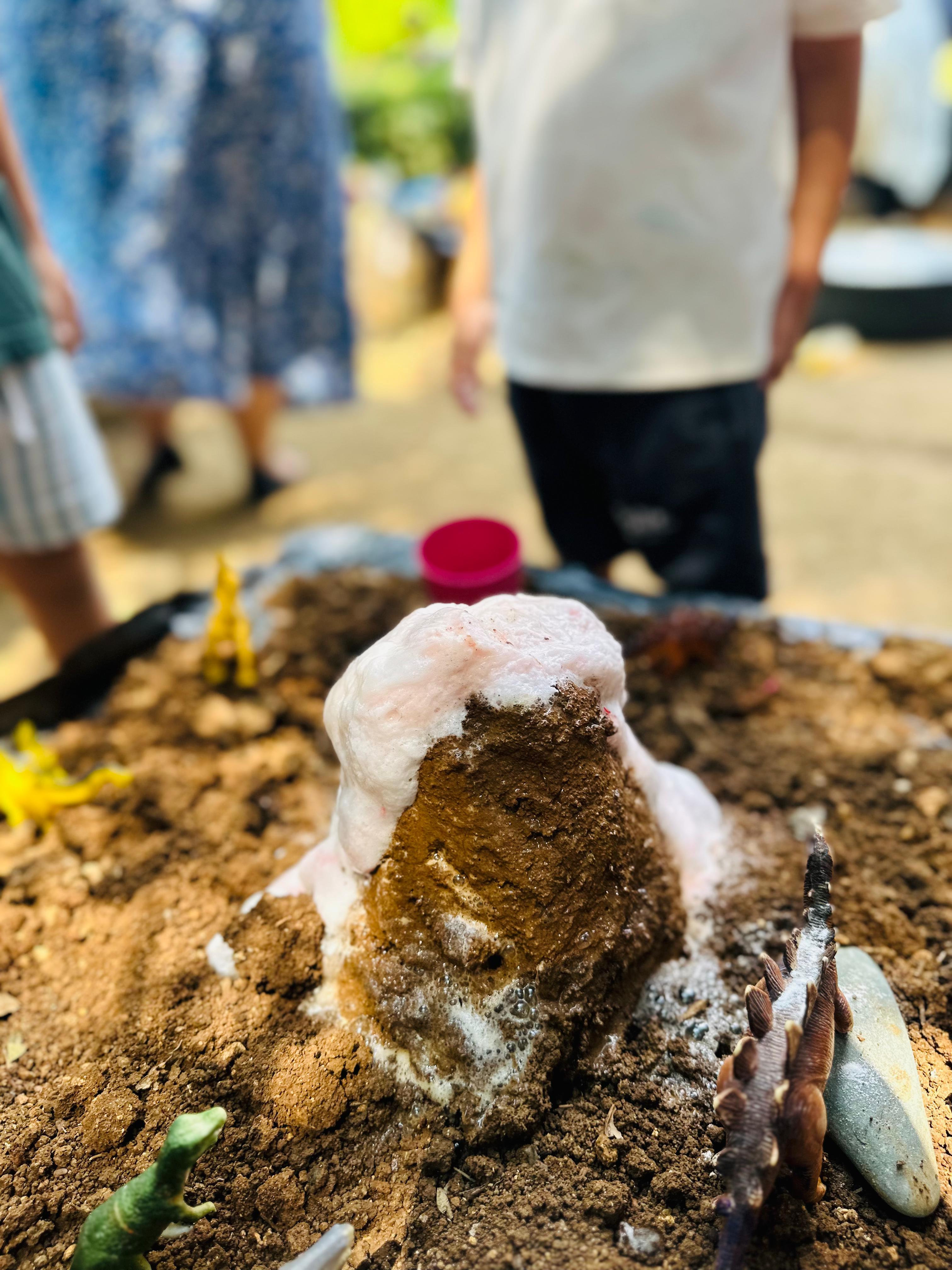 FEN & DOĞA ATÖLYESİ