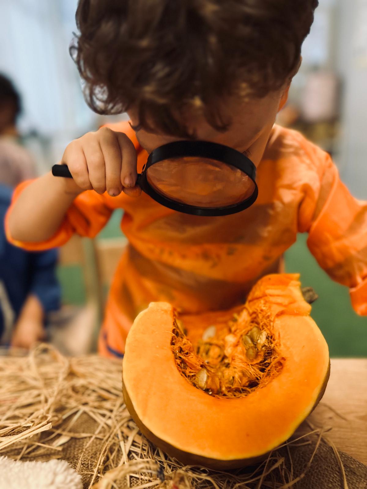 FEN & DOĞA ATÖLYESİ