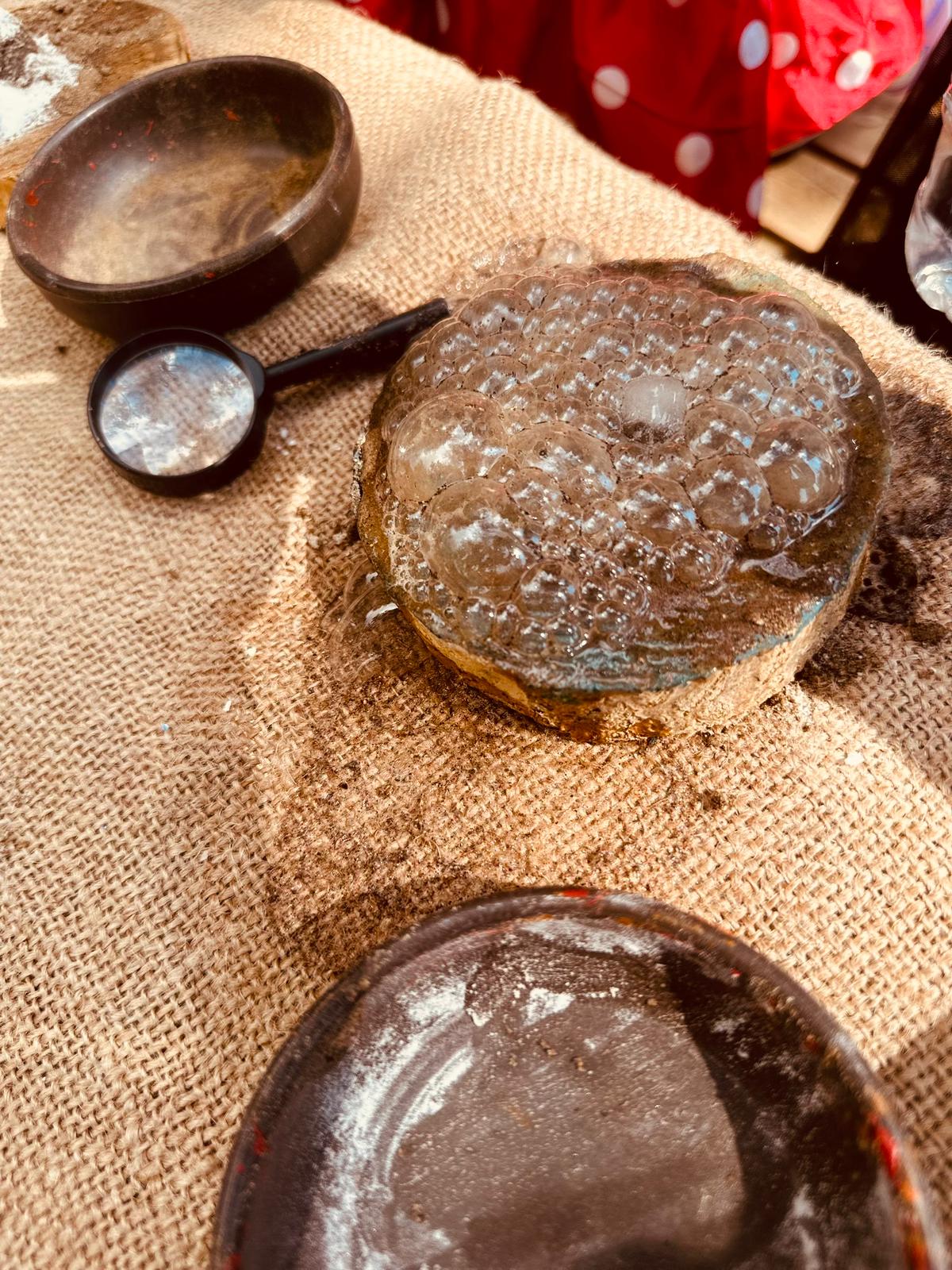 FEN & DOĞA ATÖLYESİ