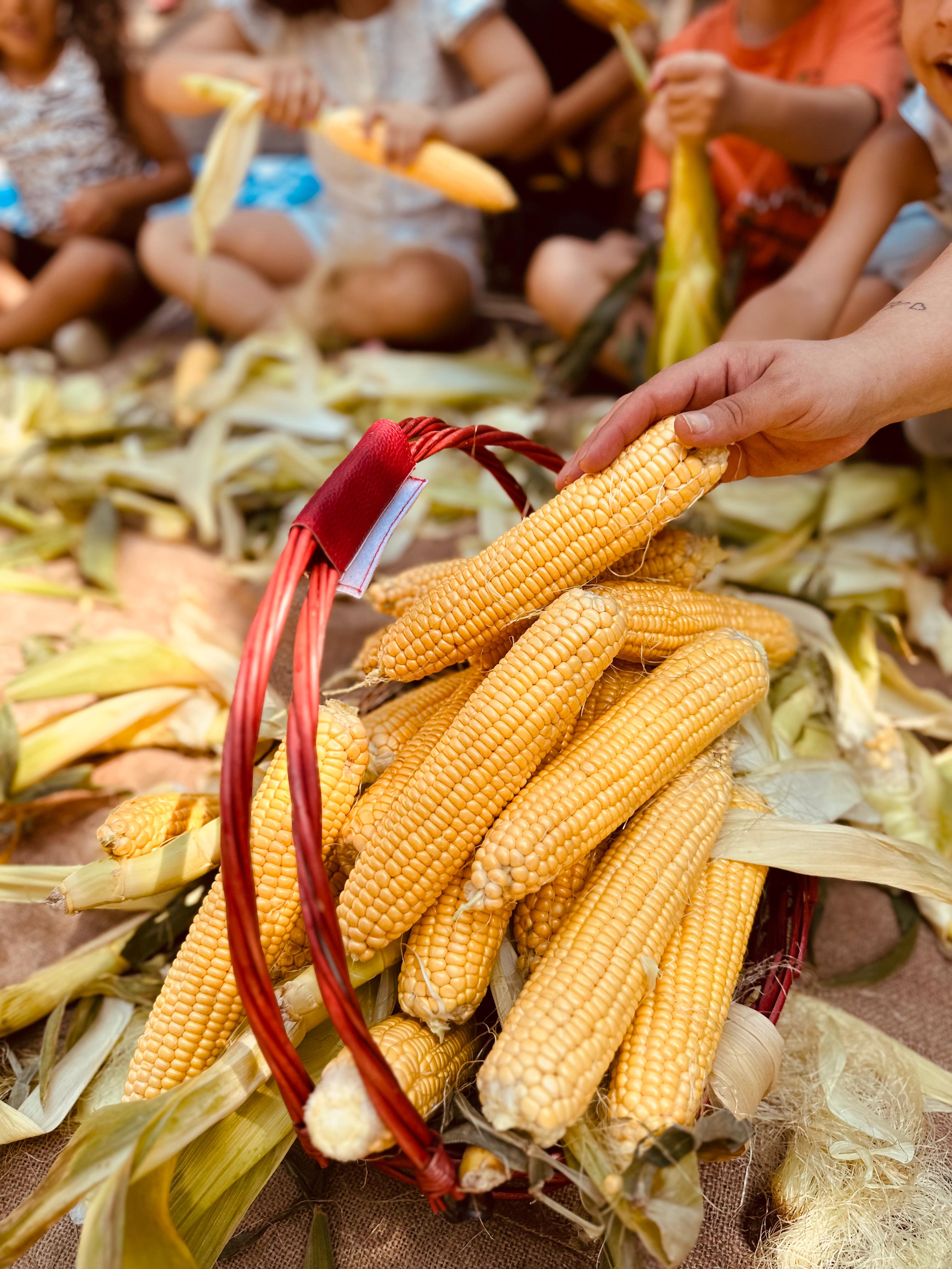 İŞ- EĞİTİM ATÖLYESİ