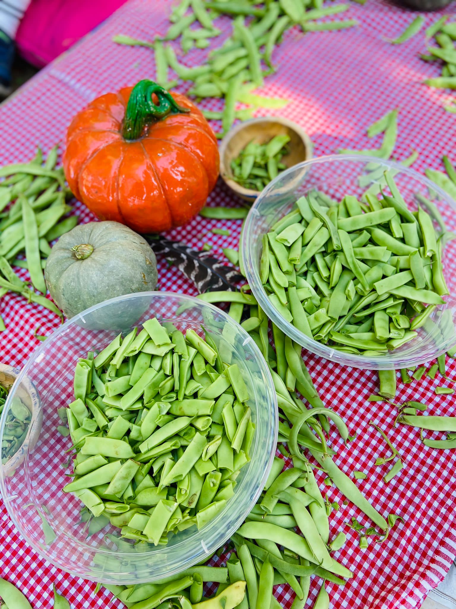 İŞ- EĞİTİM ATÖLYESİ