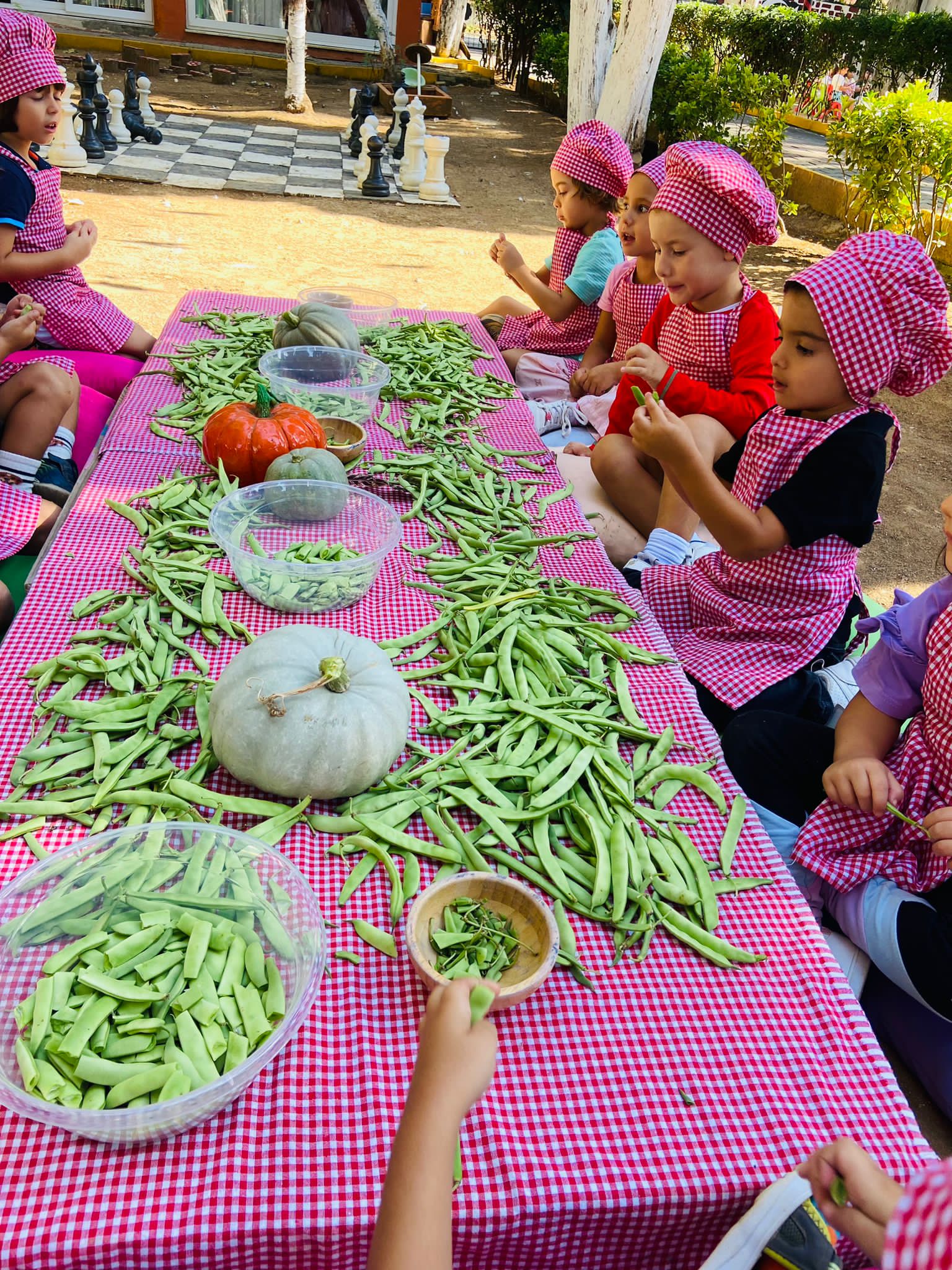 İŞ- EĞİTİM ATÖLYESİ